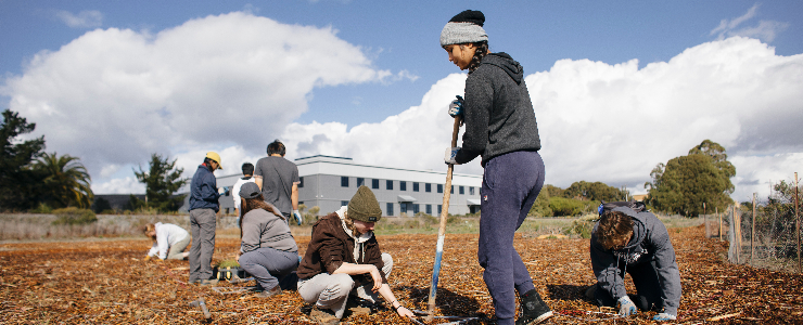 Student interns planting native grass seedlings