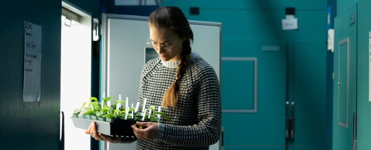 Graduate researcher putting tray of seedlings in germination chamber